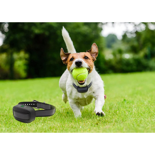 Wireless Dog Fence, 98-3280FT GPS Electric Dog Fence